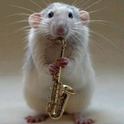 psiconanet's profile picture. Página dedicada a rirmos de psicólogos e estudantes de psicologia! 🧠 Mande sua mensagem pela dm! • Nenhum tipo de preconceito será tolerado adm: ele/dele