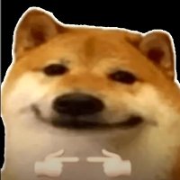 Maikol_ (@_maikol_) 's Twitter Profile