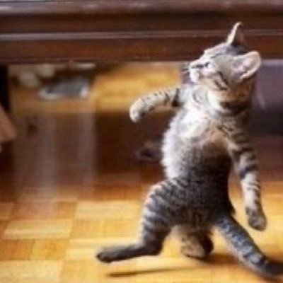 ahemmati21's profile picture. 