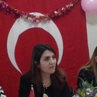 Av. Songül Sarı Gündoğdu 🇹🇷(@sari_songul) 's Twitter Profile Photo