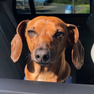maddiemillaaaa's profile picture. San Diego, LA, San Francisco
