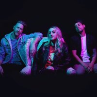 The Animal In Me (@wearetaim) 's Twitter Profile