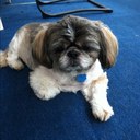 Janice Spurlock - @jlspurlock1 - Twitter