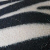 Norman Theadasus Corales (@normancorrales8) 's Twitter Profile