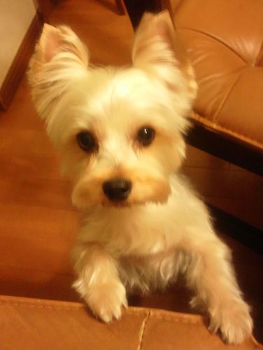 naokinow's profile picture. hello world :)