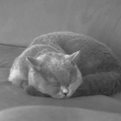 yazici_farukk's profile picture. make happy,be happy