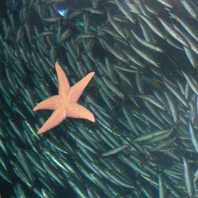 CeciliaCudos's profile picture. 