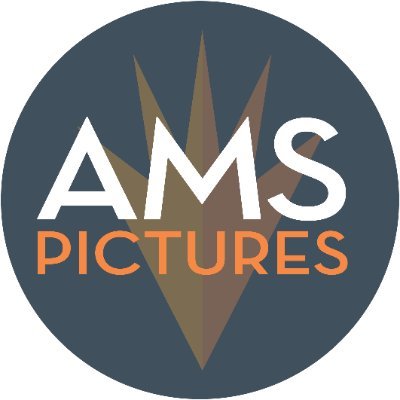 amspictures Profile Picture