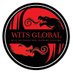 WITSGlobalCorporation (@WITSGlobalCorp) Twitter profile photo