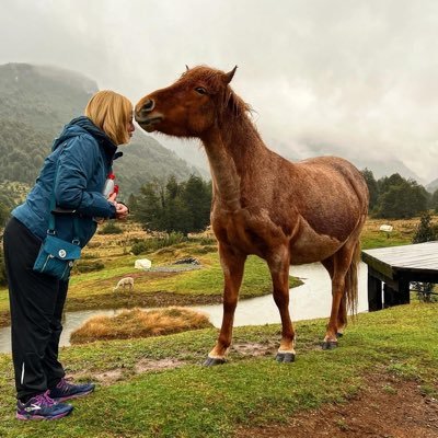 In 2019 we visited Iceland & had a crazy idea. What if we brought Icelandic horses to our farm in Chilean Patagonia?