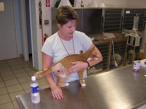 jbellmvj's profile picture. MyVetJob.com - My National Online Veterinary Job Board. We're dedicated to bringing job seeking veterinary professionals & hiring veterinary practices together!