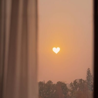 tvopk29's profile picture. Vie