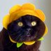 salem (@sweetbbsalem) Twitter profile photo salem (@sweetbbsalem) Twitter profile photo