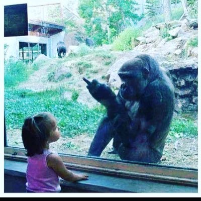 AMRuffin27's profile picture. Trying to find my lane..