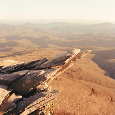 onlycarluknow's profile picture. Part time photographer full time idiot. Dm me for shoots. Asheville - Raleigh