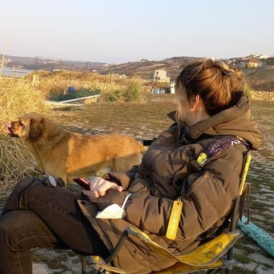 bsblshsp11's profile picture. 