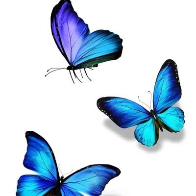 Valeria10813897's profile picture. el universo conspira para ayudarme