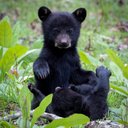 Nathan Bare - @NathanBare8 - Twitter