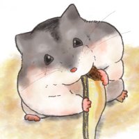 いと🐹 (@vri074s9iqqmxmg) 's Twitter Profile Photo