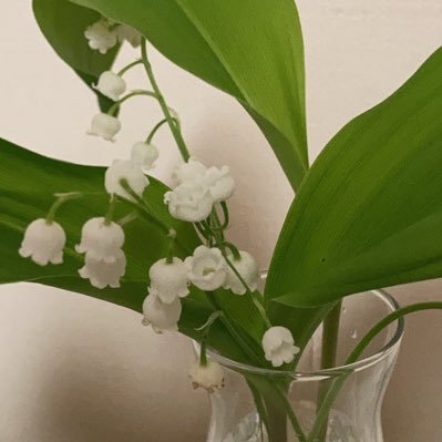 yonchamarchi's profile picture. 