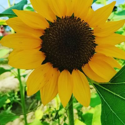 Chloe91828722's profile picture. 