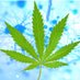 conservativestoners (@mentalflossimg) Twitter profile photo conservativestoners (@mentalflossimg) Twitter profile photo