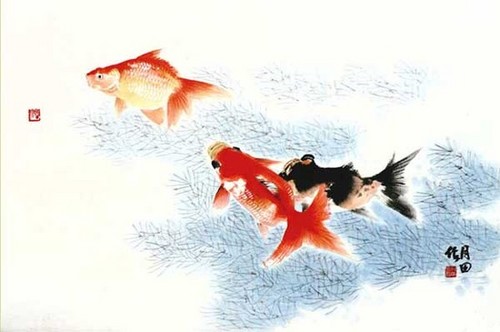 kitae1980's profile picture. Predestination