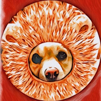 yo_chin_happy_'s profile picture. 40代ラジオ📻🎶 負けるけど好き競馬🏇 朝ドラ ドラマ📺お酒🍺音楽🎵 星野源 ケツメイシ ano 他いっぱい🎵 🍜らーめん 孤独のグルメ メシドラ🍩アド街 バス旅 鉄道番組 サウナ 大体全てにおいてニワカですが とにかく色々好き㌧🐷✨