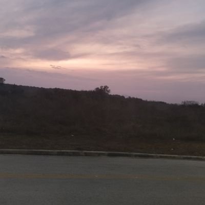 MaiconS51701919's profile picture. 