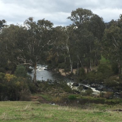 AdamWKirk80's profile picture. 