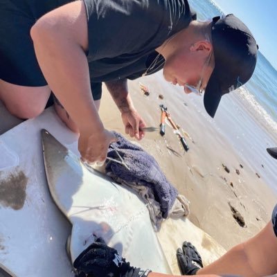 PhD candidate with @SouthernSharkEG @Flinders exploring trophic and spatial ecology of #sharks and #rays using #fattyacids and #stableisotopes 🦈 #womeninSTEM