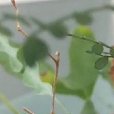 lunch2025's profile picture. 