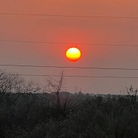 Dan1970 (@d50635861d) 's Twitter Profile