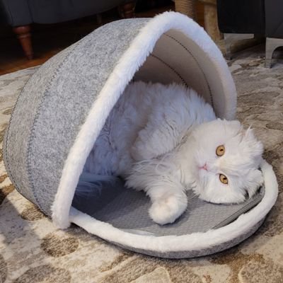 DimitryTheOne's profile picture. 