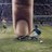 Bettingcoma's profile image