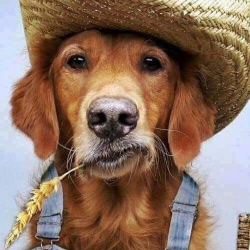 hznoway's profile picture.