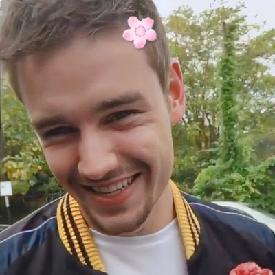 24| de virgo como liam payne