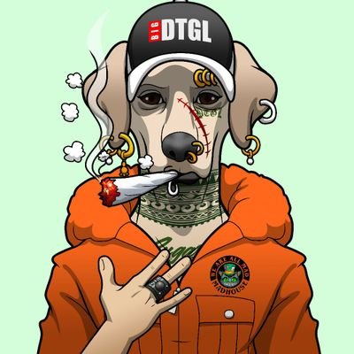 campgreeninc2's profile picture. shit talking