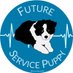 Beacon, (In Home) Border Collie Service Dog (@beaconbcsd) Twitter profile photo Beacon, (In Home) Border Collie Service Dog (@beaconbcsd) Twitter profile photo