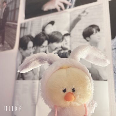 bg_120309's profile picture. 青色のハテナマーク/テギペンです🐻🐱