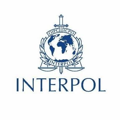 INTERPOL_Cyber Profile Picture