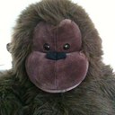 Jim Inglis - @onlyonforswann - Twitter