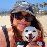 Lisette Brodey (@lisettebrodey) 's Twitter Profile