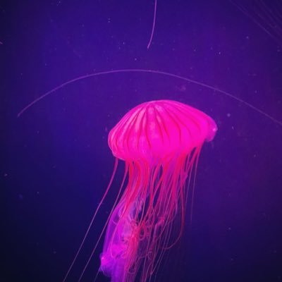 ld7_xq's profile picture. 