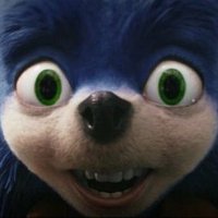 NotAHedgehog (@notahedgehog12) 's Twitter Profile