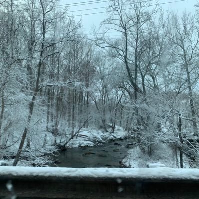 Rosemar05553251's profile picture. ask me bc I’m honest