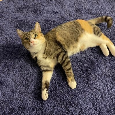 therewaswind's profile picture. 💕