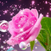 Shareefa Hanim (@shareefahanim3) Twitter profile photo Shareefa Hanim (@shareefahanim3) Twitter profile photo
