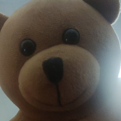 pRygPkm9zAfuzlQ's profile picture. T_T