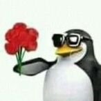 Memes para marcar ele(a) (@memeparaoarroba) 's Twitter Profile